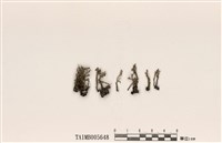 藏品(麩石蕊)的圖片